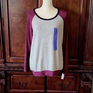 Buffalo David Bitton color block sweatshirt/sweater